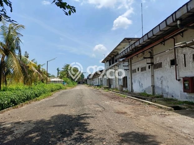Pabrik Bagus Dijual di Raya Serang Tangerang Strategis Cocok untuk Kembangkan Bisnis Pabrik Bagus Dijual di Raya Serang Tangerang Strategis Cocok untuk Kembangkan Bisnis