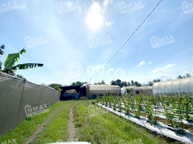 FOR SALE! Gudang di Turen Malang, LT 9984m2, LB 100m2 FOR SALE! Gudang di Turen Malang, LT 9984m2, LB 100m2