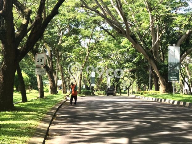 Tanah Area Berkembang Kawasan Balaraja, Luas 300m2m², Ideal untuk Bisnis Tanah Area Berkembang Kawasan Balaraja, Luas 300m2m², Ideal untuk Bisnis