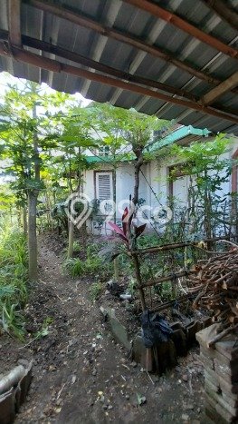 Dijual Rumah Mewah Exclusive di Maospati, Magetan Dijual Rumah Mewah Exclusive di Maospati, Magetan