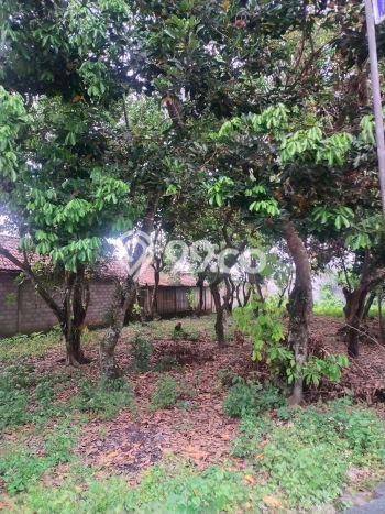 Lahan Dijual Lokasi Mlati, Sleman dengan Luas Tanah 635m2 dan Status SHM Lahan Dijual Lokasi Mlati, Sleman dengan Luas Tanah 635m2 dan Status SHM