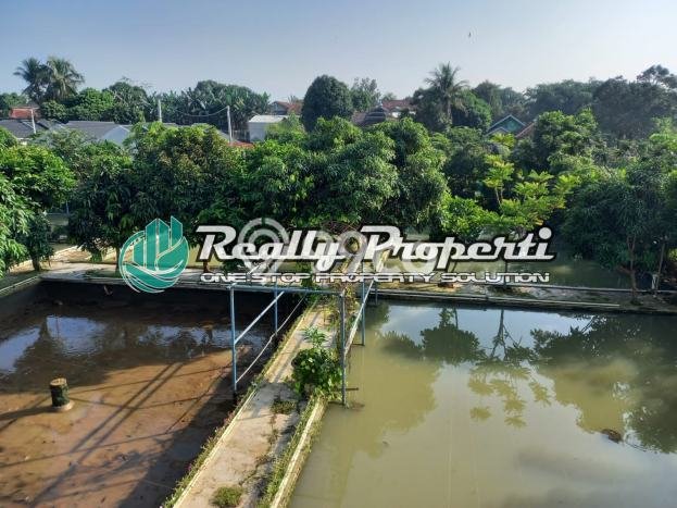 Siap Huni Rumah Mewah 6 Kamar di Parung Dekat ke Mana Pun Siap Huni Rumah Mewah 6 Kamar di Parung Dekat ke Mana Pun