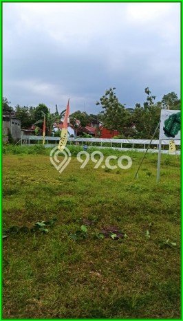 Kavling Murah Bantul Dekat Lapangan Kasihan Cocok Bangun Rumah Kavling Murah Bantul Dekat Lapangan Kasihan Cocok Bangun Rumah