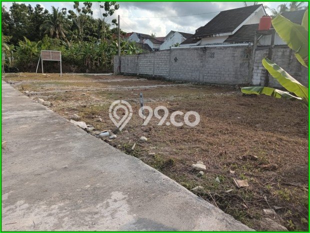 Kavling Murah Bantul Dekat Lapangan Kasihan Cocok Bangun Rumah Kavling Murah Bantul Dekat Lapangan Kasihan Cocok Bangun Rumah