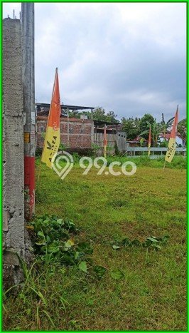 Jual Tanah Bantul Sertipikat SHM Dekat Lapangan Kasihan Jual Tanah Bantul Sertipikat SHM Dekat Lapangan Kasihan