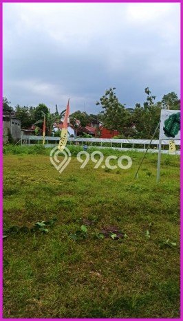 Jual Tanah Bantul Bangunjiwo Kasihan Sertipikat SHM Jual Tanah Bantul Bangunjiwo Kasihan Sertipikat SHM