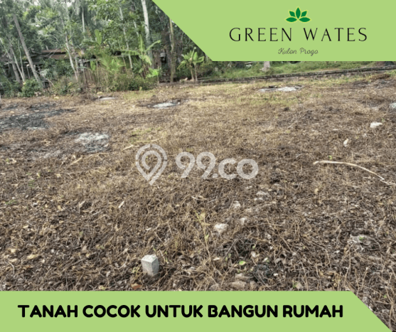Tanah Murah Kulonprogo Tepi Jalan Gotakan SHM Ready Tanah Murah Kulonprogo Tepi Jalan Gotakan SHM Ready
