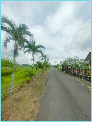 Lahan untuk Dijual Lokasi Godean, Sleman Luas 125m2 SHM Lahan untuk Dijual Lokasi Godean, Sleman Luas 125m2 SHM