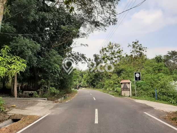 Untuk Dijual Tanah di Minggir Sleman Luas 79m2 SHM Untuk Dijual Tanah di Minggir Sleman Luas 79m2 SHM