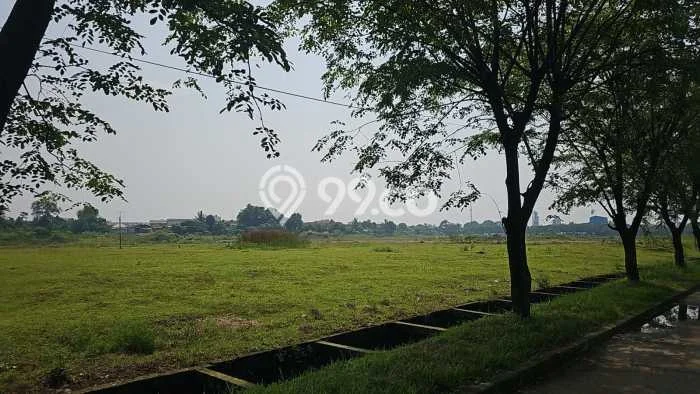 Tanah di Pamanukan, Subang Luas 585117m2 Dijual Segera Tanah di Pamanukan, Subang Luas 585117m2 Dijual Segera