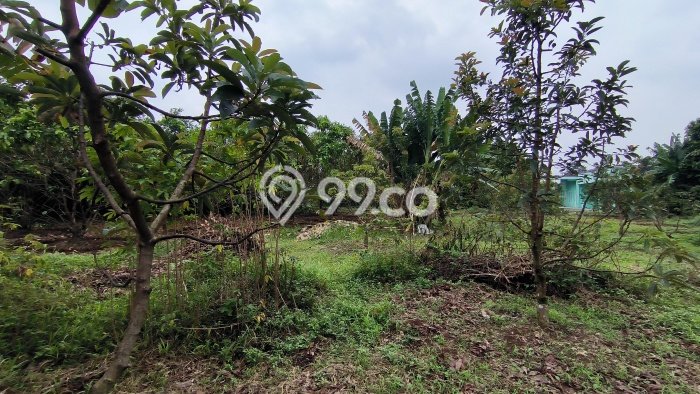 Lahan Strategis di Sawangan Dijual dengan Luas 2700m2 Lahan Strategis di Sawangan Dijual dengan Luas 2700m2