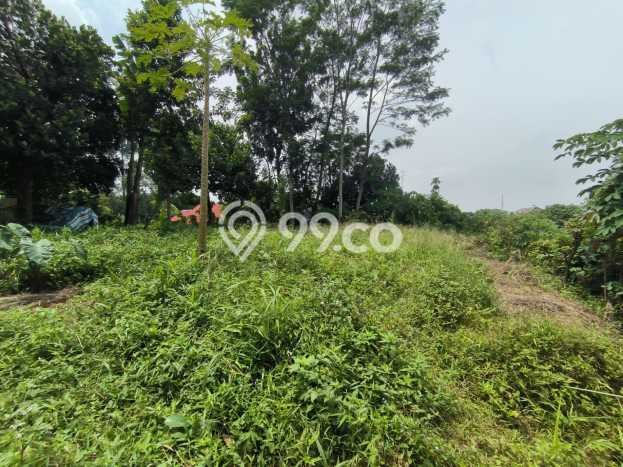 Tanah Dijual di Depok Seluas 1055m2 Strategis Tanah Dijual di Depok Seluas 1055m2 Strategis