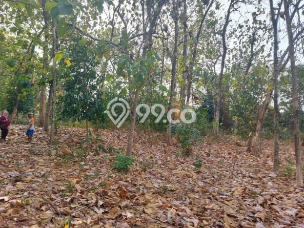 Lahan untuk Dijual Lokasi Limo, Depok Luas 7043m2 SHM Lahan untuk Dijual Lokasi Limo, Depok Luas 7043m2 SHM