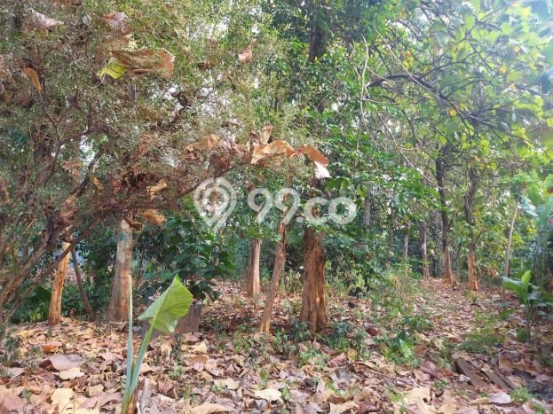 Lahan untuk Dijual Lokasi Limo, Depok Luas 7043m2 SHM Lahan untuk Dijual Lokasi Limo, Depok Luas 7043m2 SHM