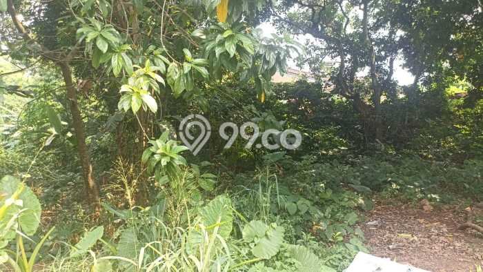 Lahan Kosong Dijual di Tangerang Selatan dengan Area 4m2 Lahan Kosong Dijual di Tangerang Selatan dengan Area 4m2