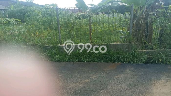 Lahan untuk Dijual Lokasi Ciawi, Bogor Luas 2535m2 SHM Lahan untuk Dijual Lokasi Ciawi, Bogor Luas 2535m2 SHM