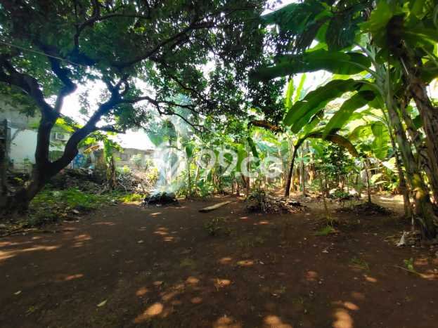 Tanah Kavling Dijual di Jakarta Selatan dengan Spesifikasi 1516m2 Tanah Kavling Dijual di Jakarta Selatan dengan Spesifikasi 1516m2