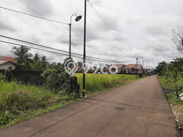 Tanah Kavling Dijual di Pontianak dengan Spesifikasi 2260m2 Tanah Kavling Dijual di Pontianak dengan Spesifikasi 2260m2