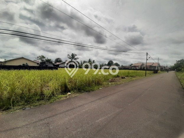 Tanah Kavling Dijual di Pontianak dengan Spesifikasi 2260m2 Tanah Kavling Dijual di Pontianak dengan Spesifikasi 2260m2