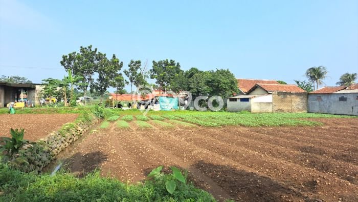 Tanah Subur Disisi Jalan Kabupaten Tanah Subur Disisi Jalan Kabupaten