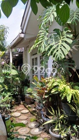 Jual Rumah Modern 3 KT di Bintaro, Tangerang Selatan Jual Rumah Modern 3 KT di Bintaro, Tangerang Selatan