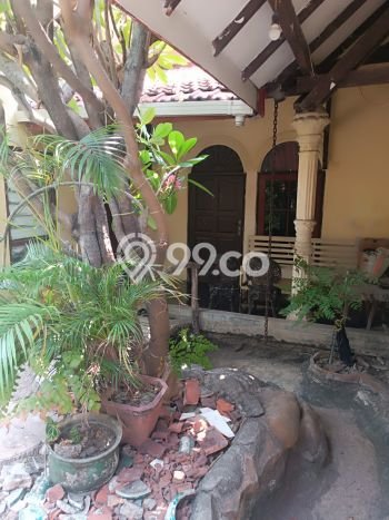 Rumah Terawat 14 KT 4 KM di Wonocolo, Surabaya Rumah Terawat 14 KT 4 KM di Wonocolo, Surabaya