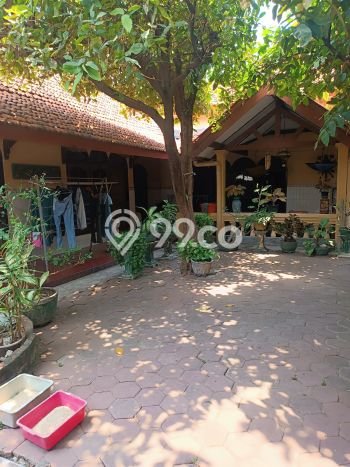 Rumah Terawat 14 KT 4 KM di Wonocolo, Surabaya Rumah Terawat 14 KT 4 KM di Wonocolo, Surabaya