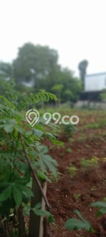 Dijual Tanah 4792m2 di Krukut, Depok Dijual Tanah 4792m2 di Krukut, Depok