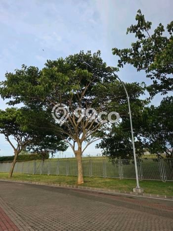 Tanah Dijual Lokasi Pantai Indah Kapuk Jakarta Utara PPJB Tanah Dijual Lokasi Pantai Indah Kapuk Jakarta Utara PPJB