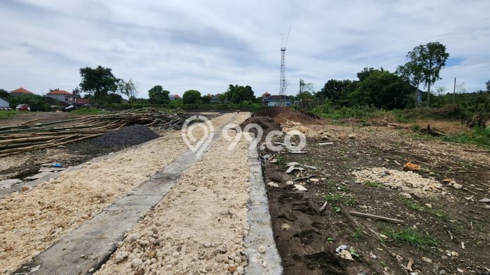 Lahan Dijual Lokasi Denpasar Utara, Denpasar dengan Luas Tanah 100m2 dan Status SHM Lahan Dijual Lokasi Denpasar Utara, Denpasar dengan Luas Tanah 100m2 dan Status SHM
