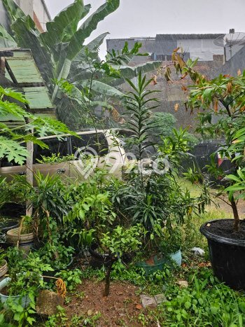 Untuk Dijual Tanah 94m2 di Pondok Kelapa, Jakarta Timur Untuk Dijual Tanah 94m2 di Pondok Kelapa, Jakarta Timur