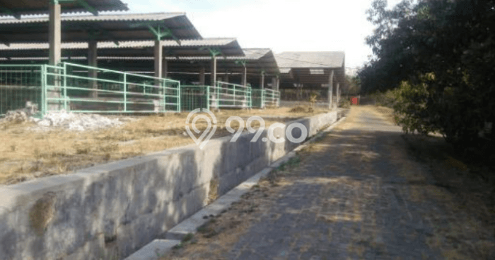 Tanah Dijual di Mojokerto Seluas 54359m2 Strategis Tanah Dijual di Mojokerto Seluas 54359m2 Strategis
