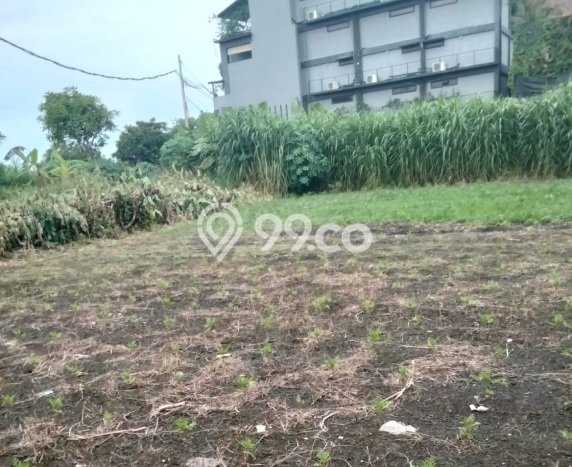 Tanah Kavling Dijual di Sanur, Denpasar dengan Luas Tanah 1165m2 Tanah Kavling Dijual di Sanur, Denpasar dengan Luas Tanah 1165m2