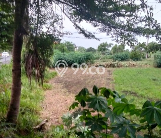 Tanah Kavling Dijual di Sanur, Denpasar dengan Luas Tanah 1165m2 Tanah Kavling Dijual di Sanur, Denpasar dengan Luas Tanah 1165m2