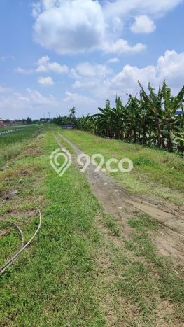 Jual Tanah Kawasan Wringinanom, Luas 6300m², Area Potensial Jual Tanah Kawasan Wringinanom, Luas 6300m², Area Potensial
