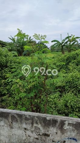 Kavling Tanah Lokasi Strategis di Menganti, Gresik Disewakan 2168m2 Kavling Tanah Lokasi Strategis di Menganti, Gresik Disewakan 2168m2