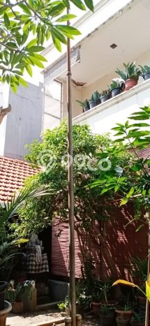 Rumah Mewah Siap Huni LT 278m2 di Cempaka Putih, Jakarta Pusat Rumah Mewah Siap Huni LT 278m2 di Cempaka Putih, Jakarta Pusat