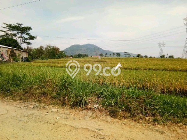 Tanah untuk Dijual di Majalaya Bandung Luas 49000m2 Tanah untuk Dijual di Majalaya Bandung Luas 49000m2