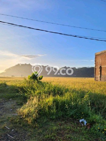 Tanah Dijual Lokasi Kutawaringin, Bandung dengan Luas Tanah 1512m2 dan Status AJB Tanah Dijual Lokasi Kutawaringin, Bandung dengan Luas Tanah 1512m2 dan Status AJB