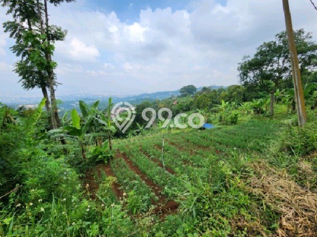 Tanah Dijual Lokasi Cimenyan, Bandung dengan Luas Tanah 2328m2 dan Status SHM Tanah Dijual Lokasi Cimenyan, Bandung dengan Luas Tanah 2328m2 dan Status SHM