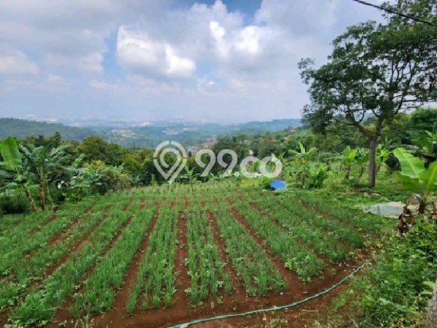 Tanah Dijual Lokasi Cimenyan, Bandung dengan Luas Tanah 2328m2 dan Status SHM Tanah Dijual Lokasi Cimenyan, Bandung dengan Luas Tanah 2328m2 dan Status SHM