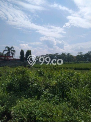 Lahan Strategis di Majalaya Dijual dengan Luas 9000m2 Lahan Strategis di Majalaya Dijual dengan Luas 9000m2