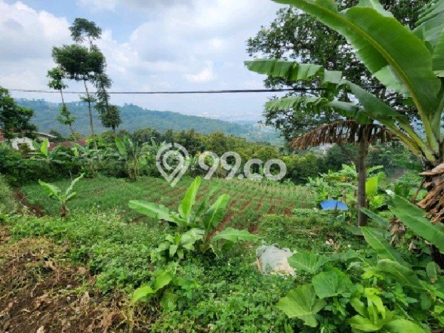 Tanah Dijual Lokasi Cimenyan, Bandung dengan Luas Tanah 2328m2 dan Status SHM Tanah Dijual Lokasi Cimenyan, Bandung dengan Luas Tanah 2328m2 dan Status SHM