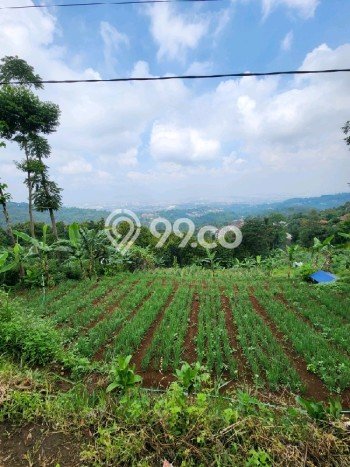 Tanah Dijual Lokasi Cimenyan, Bandung dengan Luas Tanah 2328m2 dan Status SHM Tanah Dijual Lokasi Cimenyan, Bandung dengan Luas Tanah 2328m2 dan Status SHM