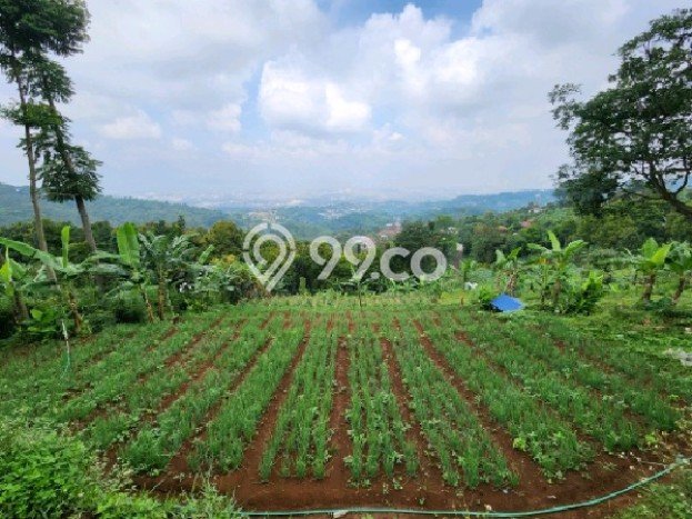 Tanah Dijual Lokasi Cimenyan, Bandung dengan Luas Tanah 2328m2 dan Status SHM Tanah Dijual Lokasi Cimenyan, Bandung dengan Luas Tanah 2328m2 dan Status SHM