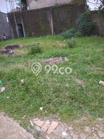 Kavling Tanah Dijual di Kemang Bogor Spesifikasi 196m2 Kavling Tanah Dijual di Kemang Bogor Spesifikasi 196m2