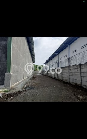 Gudang Disewa di Periuk, Tangerang, LT 2556m2 / LB 1104m2 Gudang Disewa di Periuk, Tangerang, LT 2556m2 / LB 1104m2