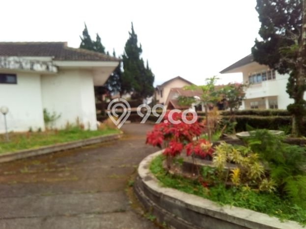 HARGA TERBAIK! Vila Kawasan Cipanas, Luas 4000m2m², Area Potensial dengan prospek naik HARGA TERBAIK! Vila Kawasan Cipanas, Luas 4000m2m², Area Potensial dengan prospek naik