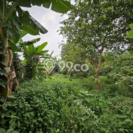 Tanah Kavling untuk Dijual di Ciputat Tangerang Selatan 862m2 Tanah Kavling untuk Dijual di Ciputat Tangerang Selatan 862m2