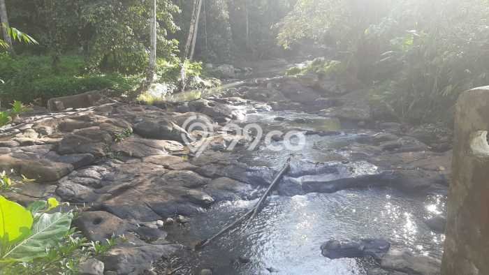 Paling Dicari! Kavling Tanah Disewakan di Tabanan, Tabanan Paling Dicari! Kavling Tanah Disewakan di Tabanan, Tabanan